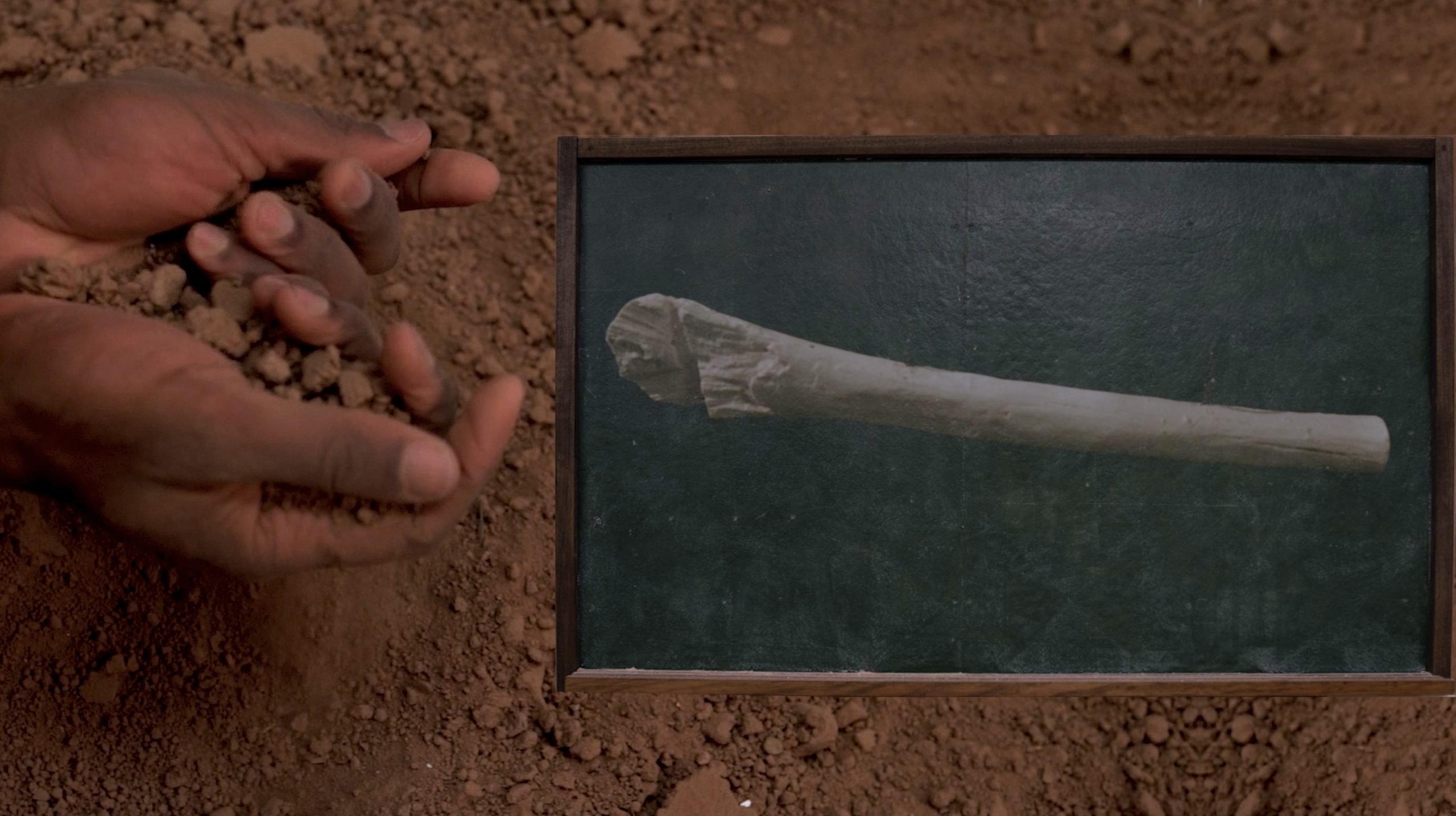 A hand holding dirt next to a picture of a bone.